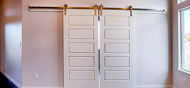 Glass Barn Door with Installation Hardware Kit San Juan Capistrano